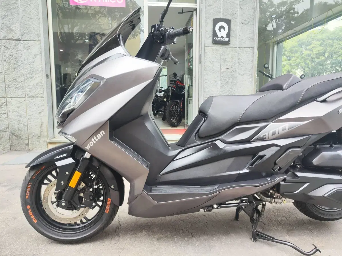 Wottan Motor Storm-S 300 (2020 - 25) (3)