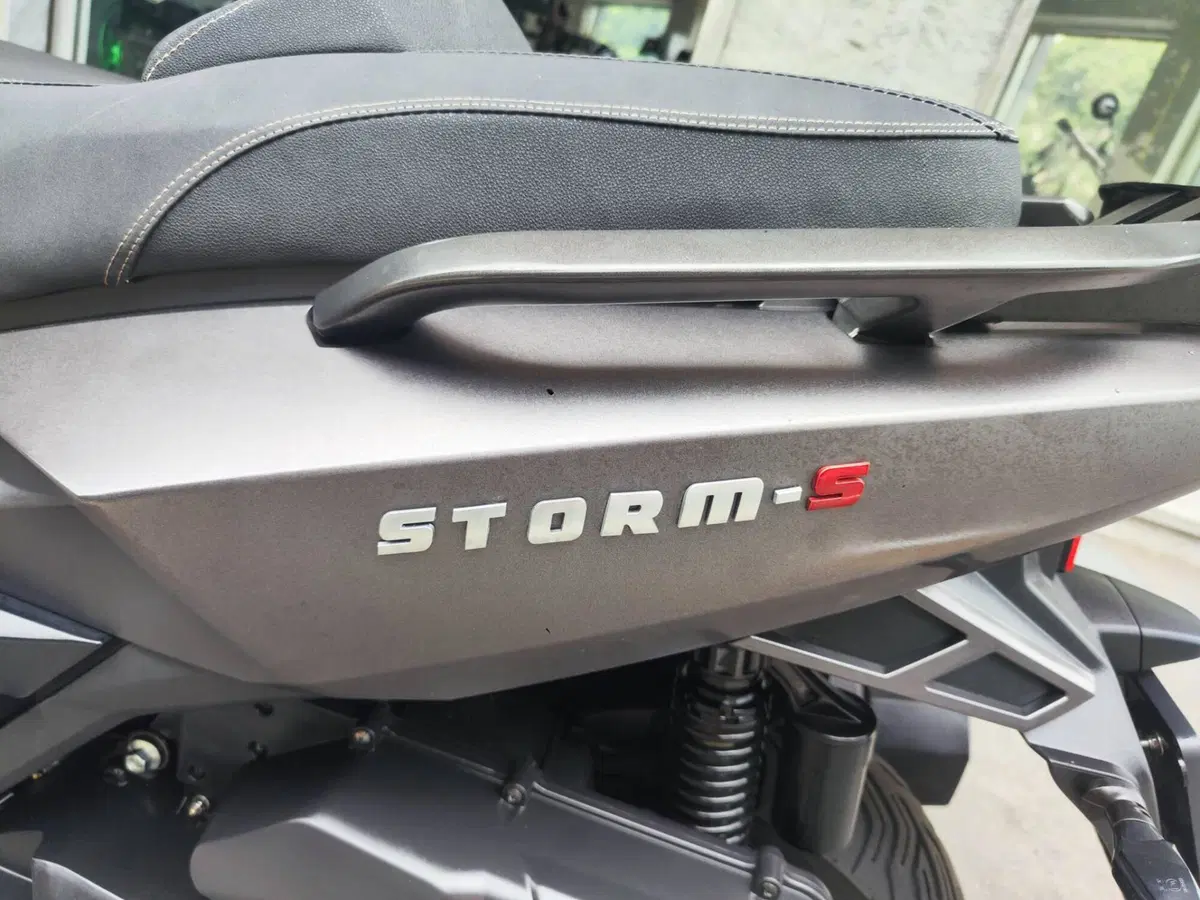 Wottan Motor Storm-S 300 (2020 - 25) (12)