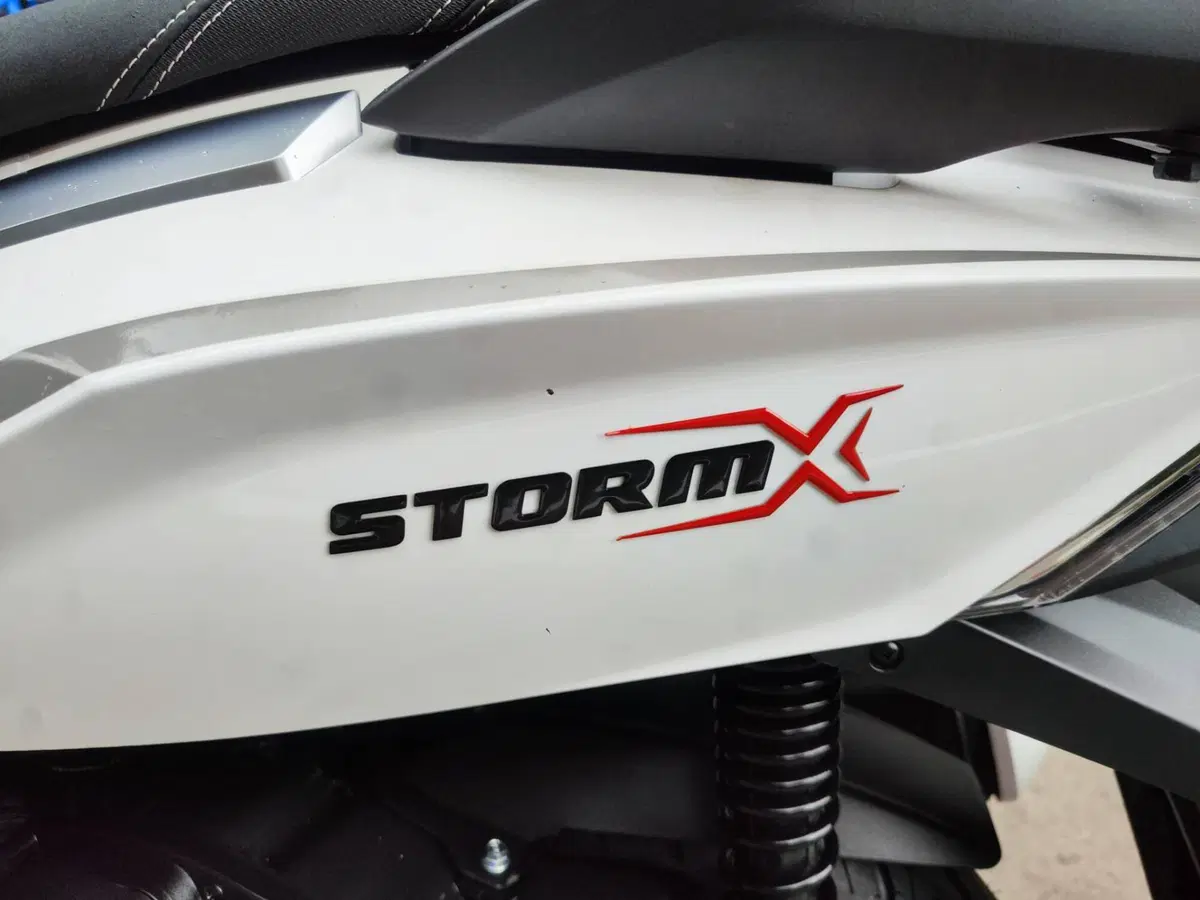 Wottan Motor Storm-X+ 125 (2024 - 26) (17)