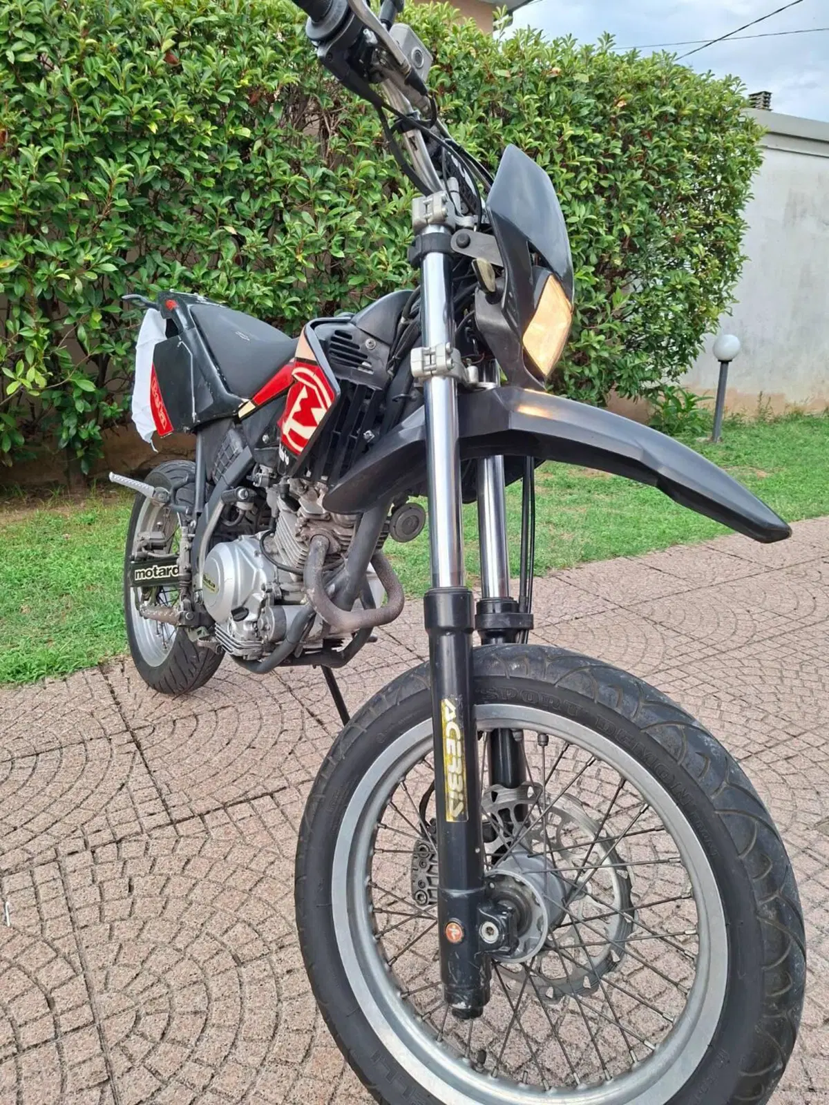 Betamotor RR 125 4T Motard (2006 - 11) (6)
