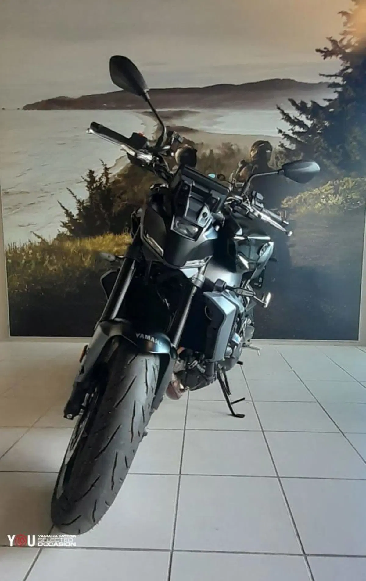 Yamaha MT-09 (2024 - 26) (6)