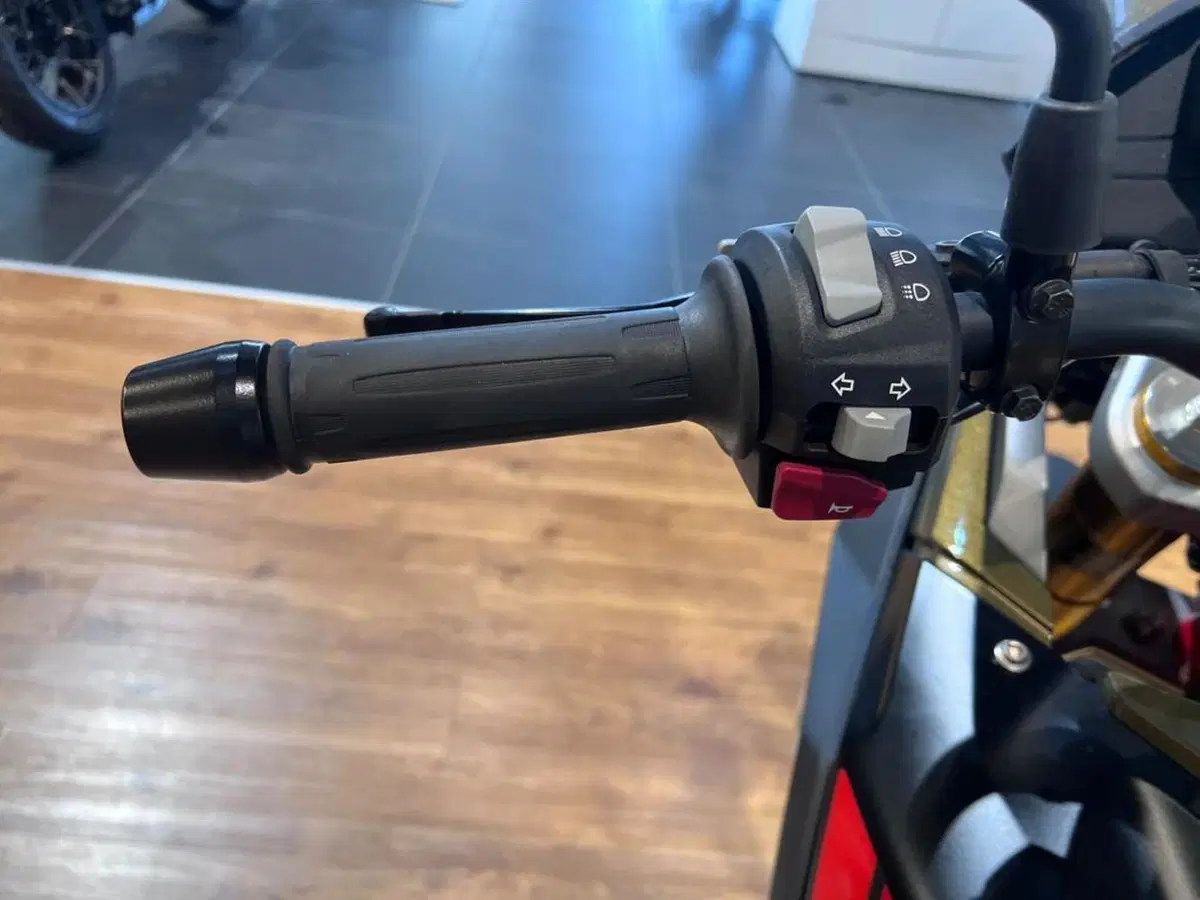 Bmw G 310 GS (2021 - 25) (11)