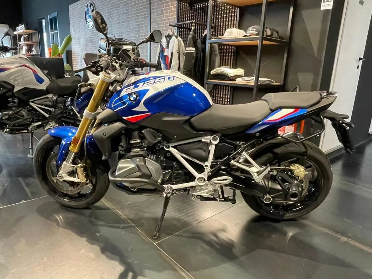 Bmw R 1250 R (2021 - 25) (10)