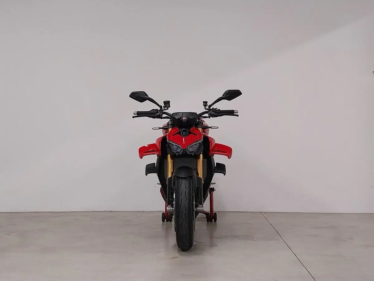 Ducati Streetfighter V4 S (2025 - 26) (4)