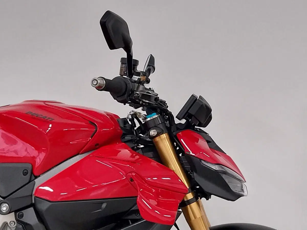 Ducati Streetfighter V4 S (2025 - 26) (9)