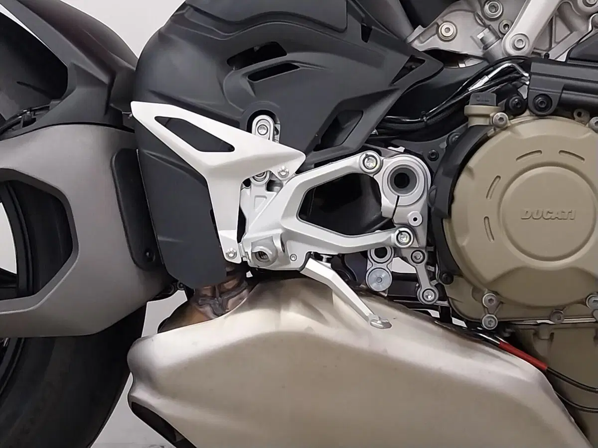 Ducati Streetfighter V4 S (2025 - 26) (11)