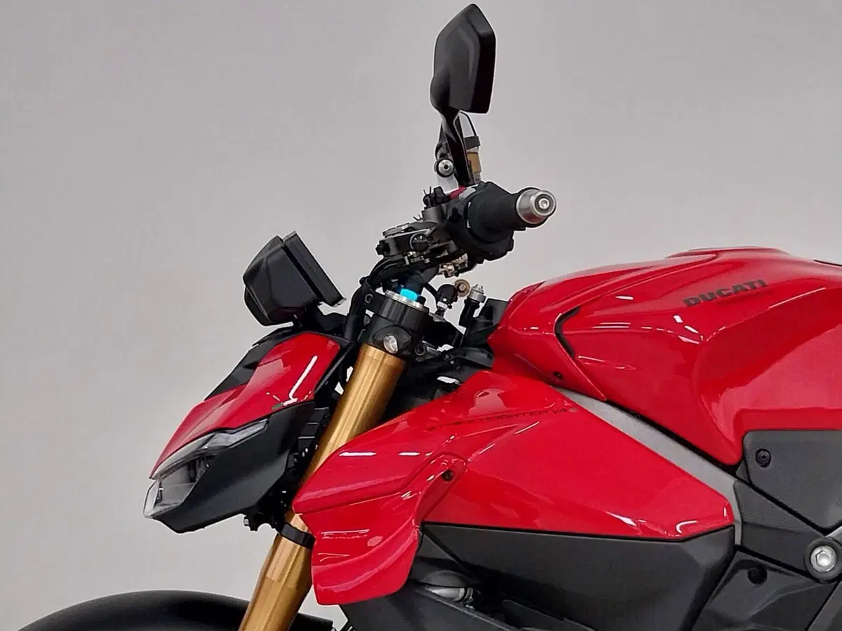 Ducati Streetfighter V4 S (2025 - 26) (14)