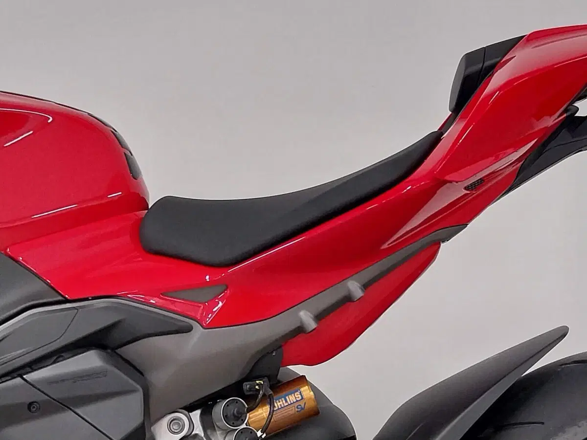 Ducati Streetfighter V4 S (2025 - 26) (16)