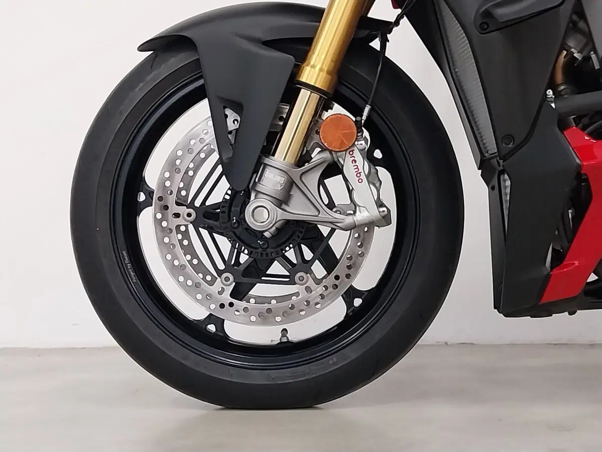 Ducati Streetfighter V4 S (2025 - 26) (18)