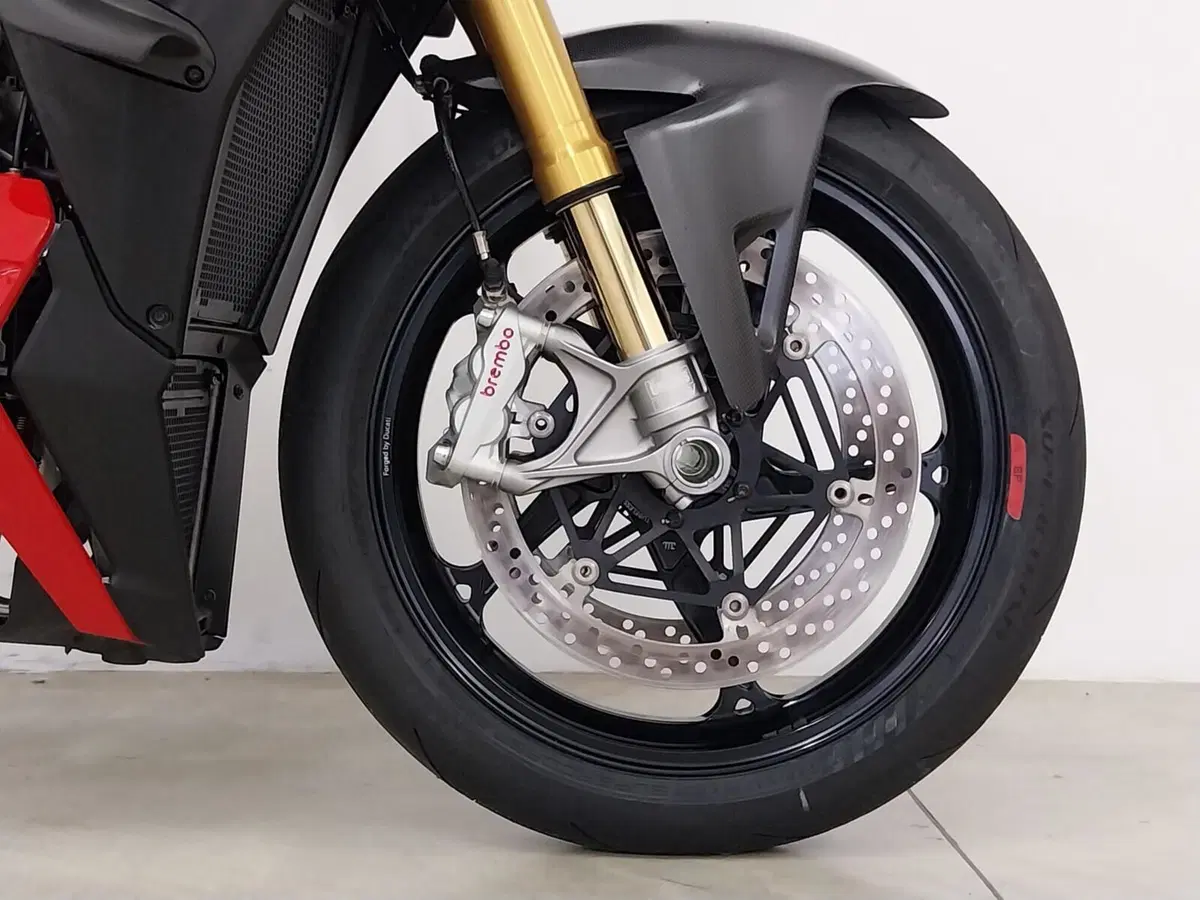 Ducati Streetfighter V4 S (2025 - 26) (13)