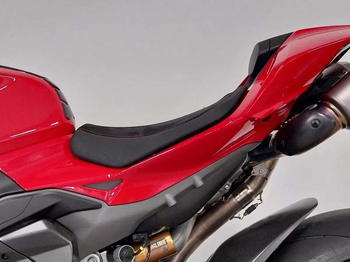 Ducati Streetfighter V4 S (2025 - 26) (16)