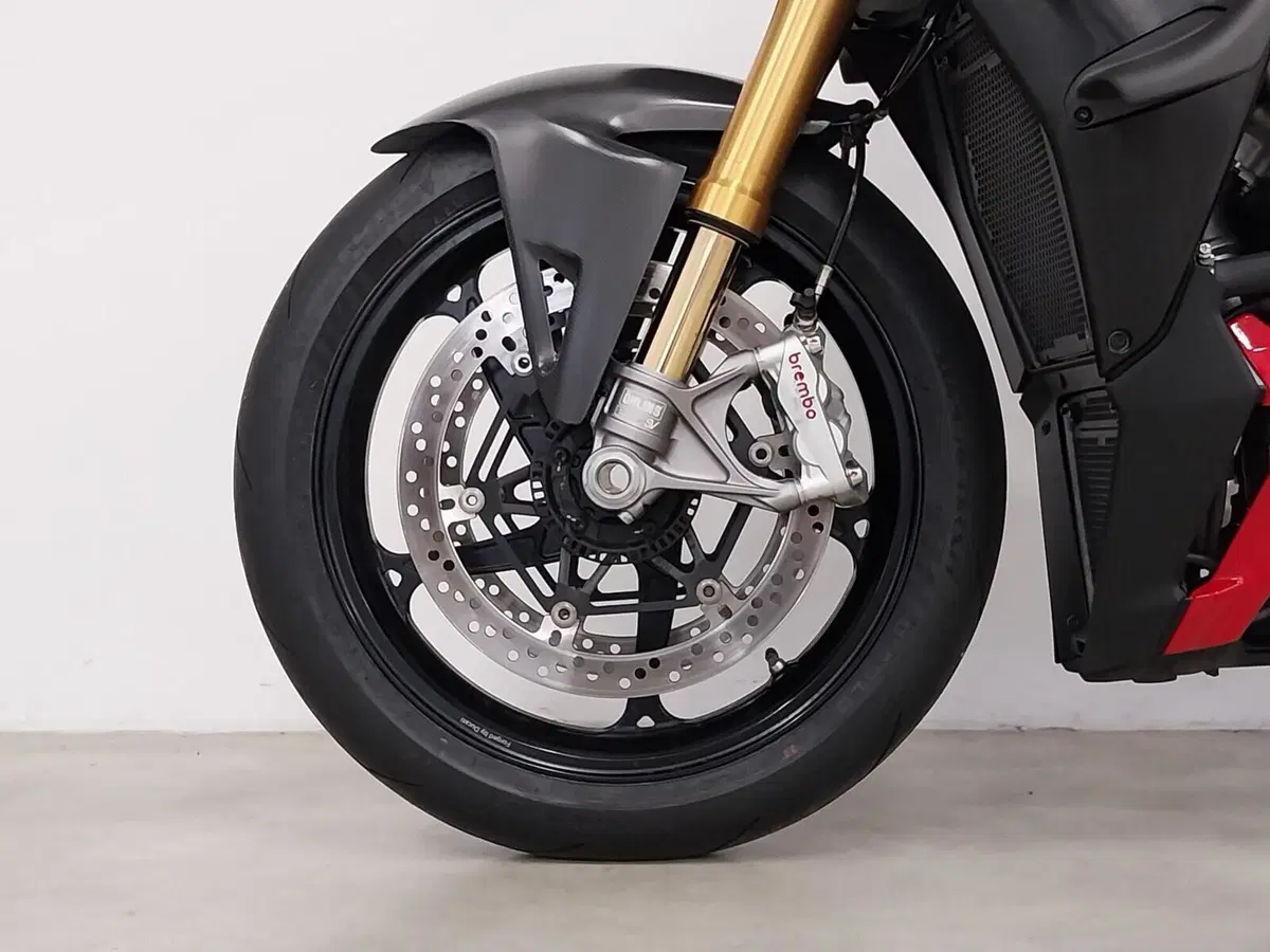 Ducati Streetfighter V4 S (2025 - 26) (18)