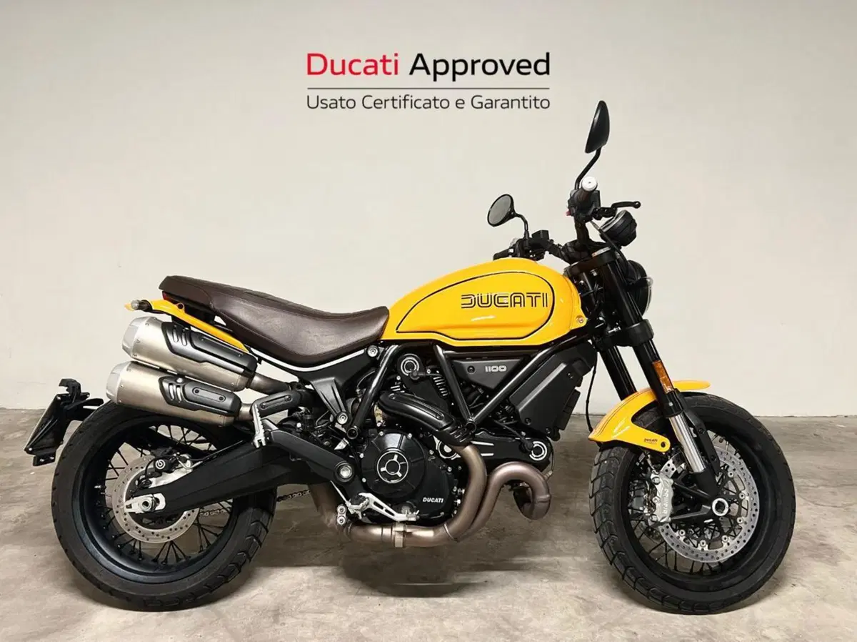 Ducati Scrambler 1100 Tribute Pro (2022 - 24)