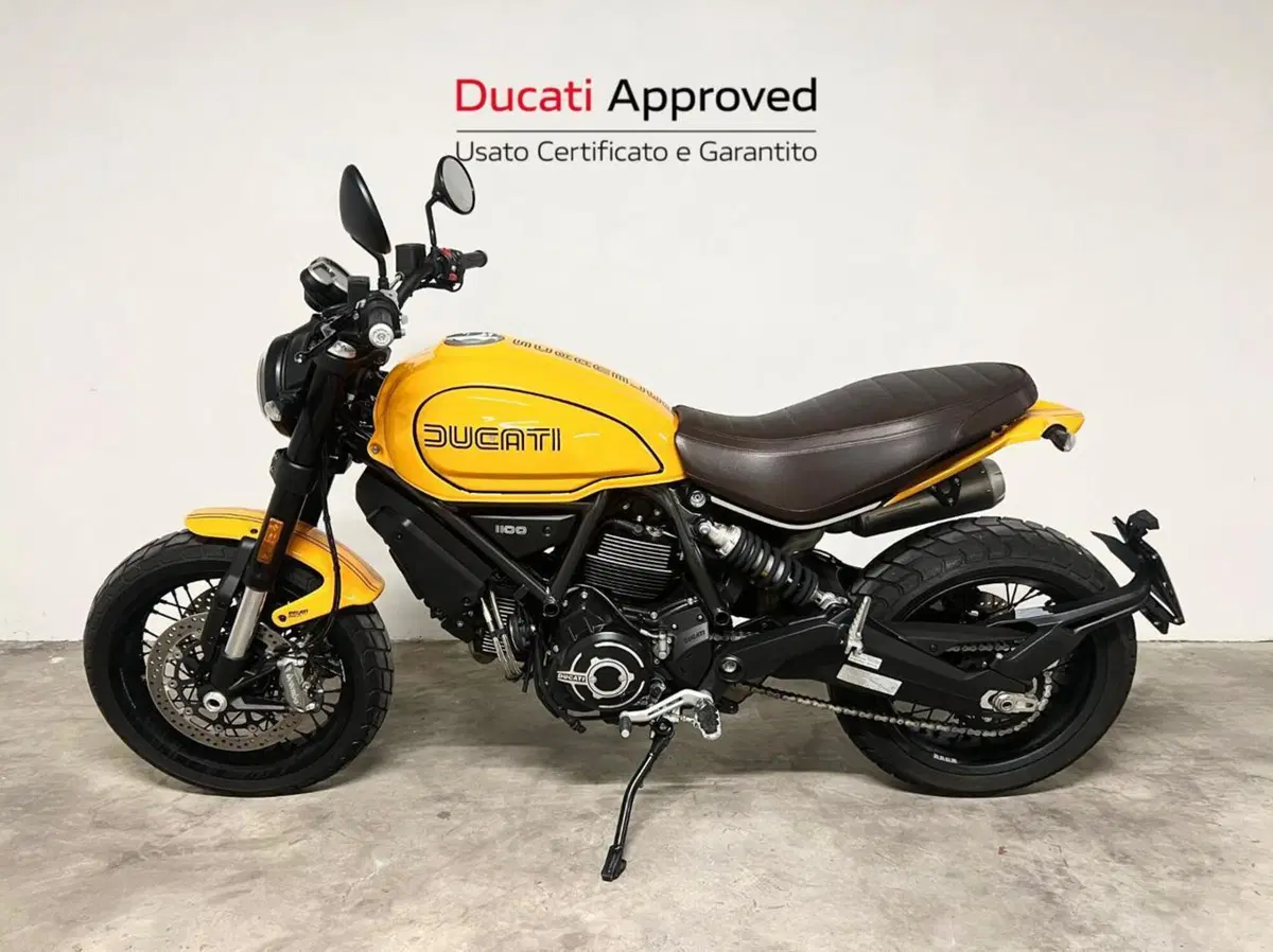 Ducati Scrambler 1100 Tribute Pro (2022 - 24) (4)
