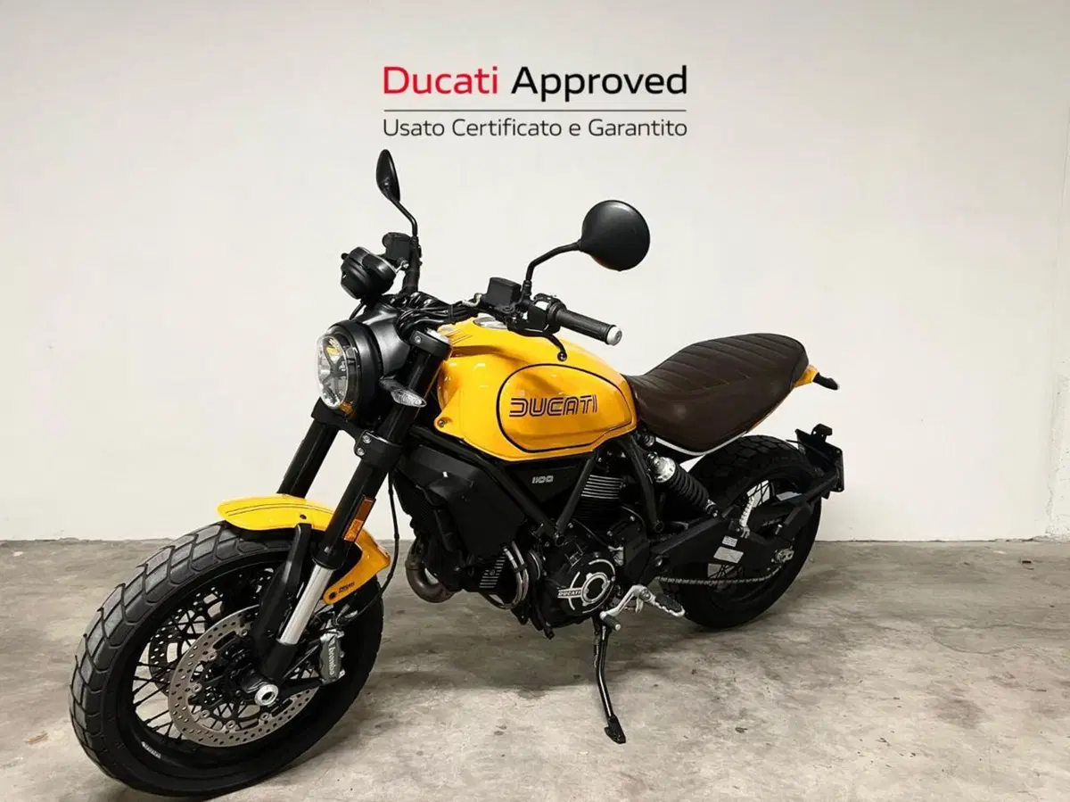 Ducati Scrambler 1100 Tribute Pro (2022 - 24) (5)