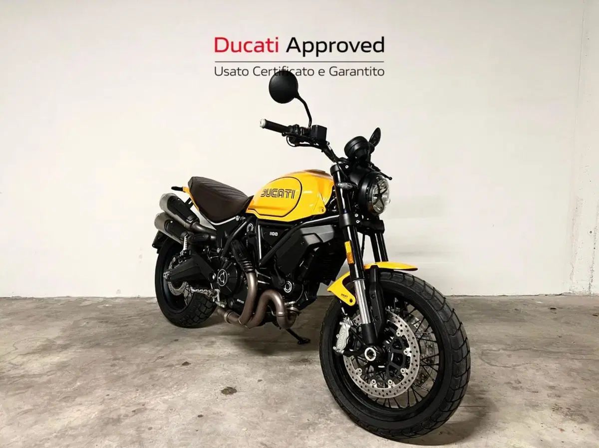 Ducati Scrambler 1100 Tribute Pro (2022 - 24) (6)
