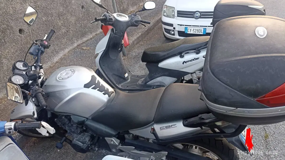 Honda CBF 600 N (2005 - 11) (2)