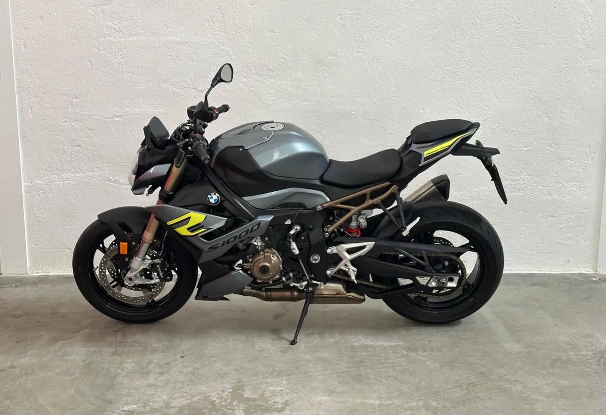 Bmw S 1000 R (2021 - 24) (2)