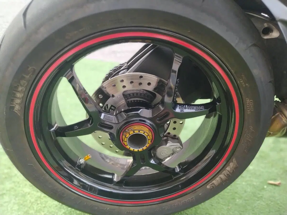 Ducati 1299 Panigale (2015 - 17) (15)