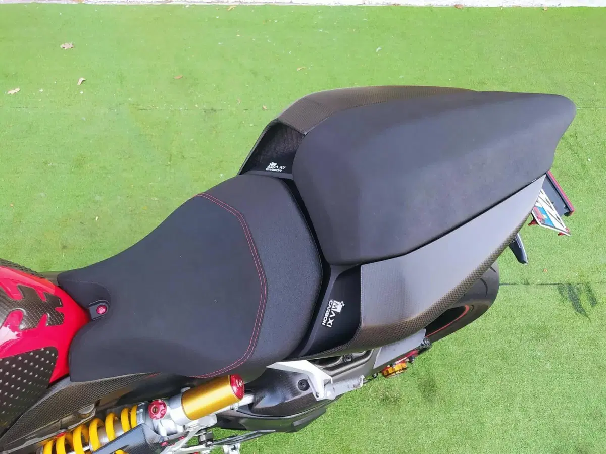 Ducati 1299 Panigale (2015 - 17) (11)