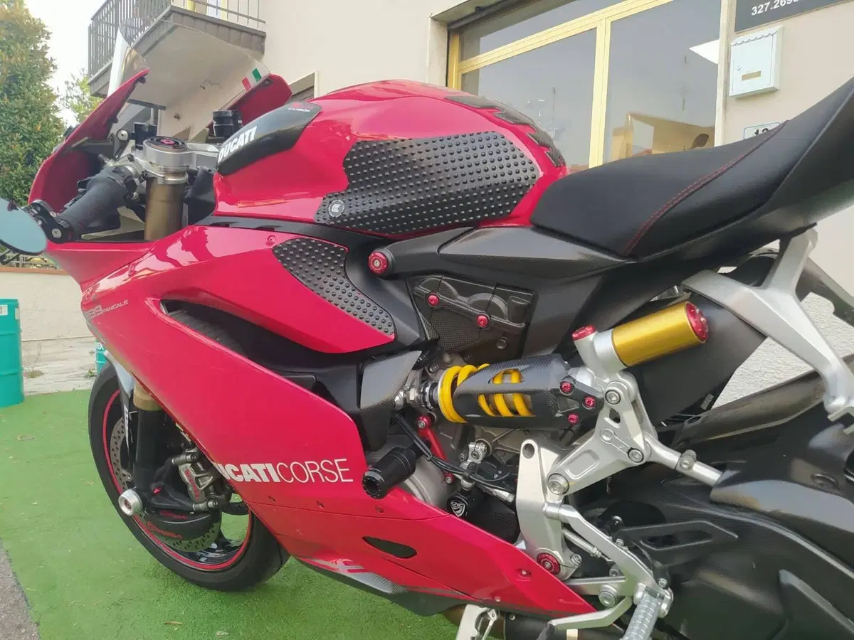 Ducati 1299 Panigale (2015 - 17) (9)