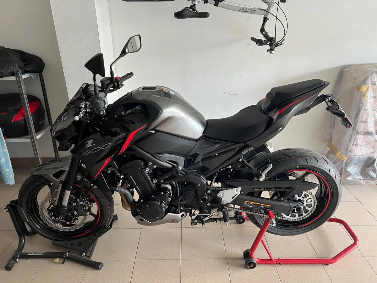 Kawasaki Z 900 (2021 - 24)