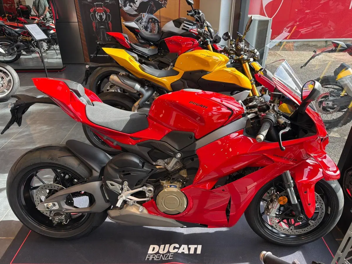Ducati Panigale V4 (2025 - 26)