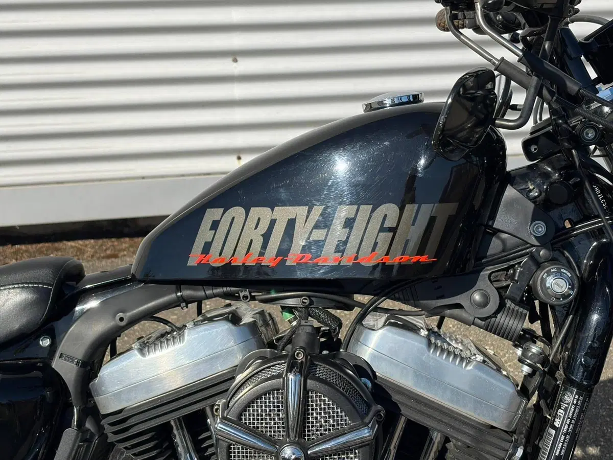 Harley-Davidson 1200 Forty-Eight (2010 - 15) (4)
