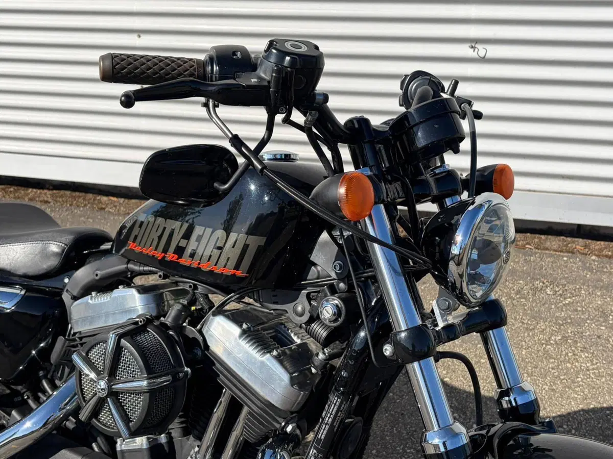 Harley-Davidson 1200 Forty-Eight (2010 - 15) (7)