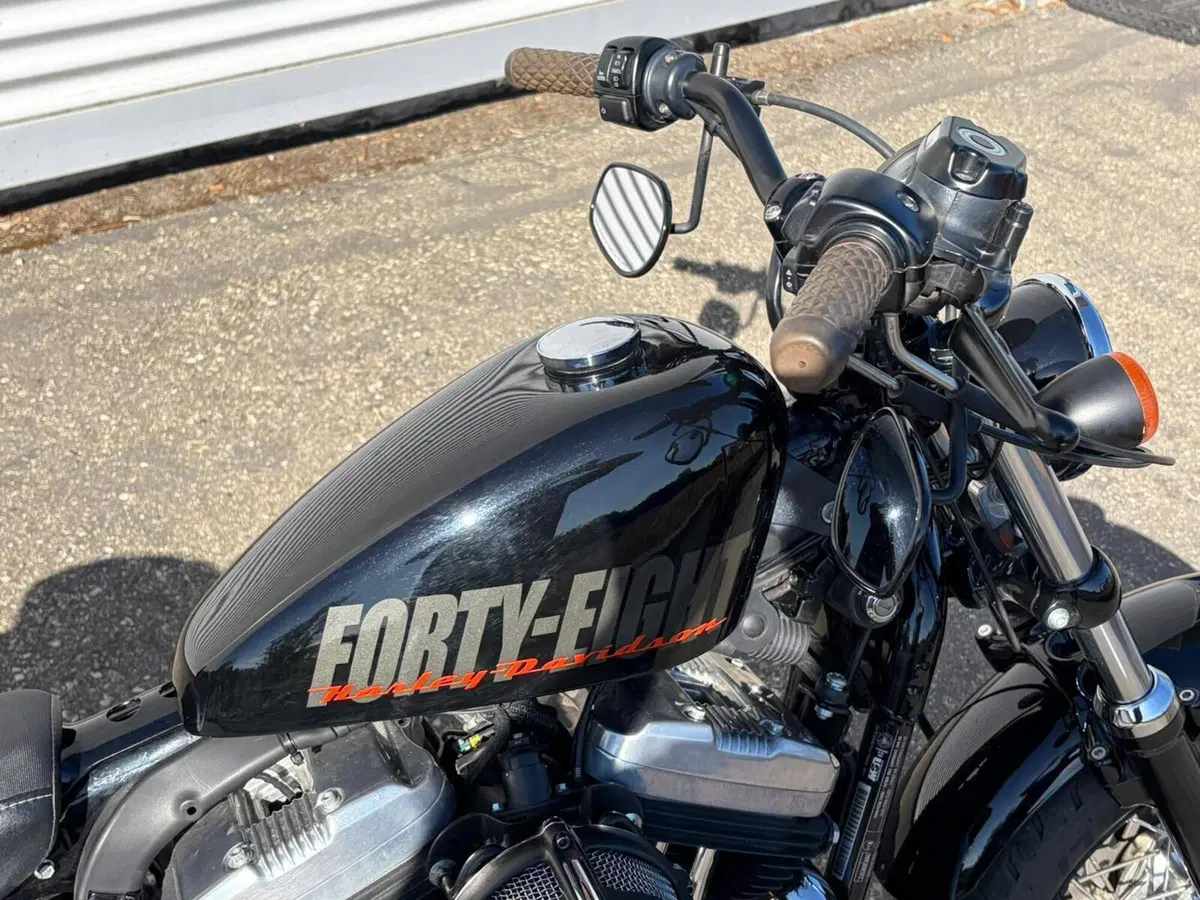 Harley-Davidson 1200 Forty-Eight (2010 - 15) (8)
