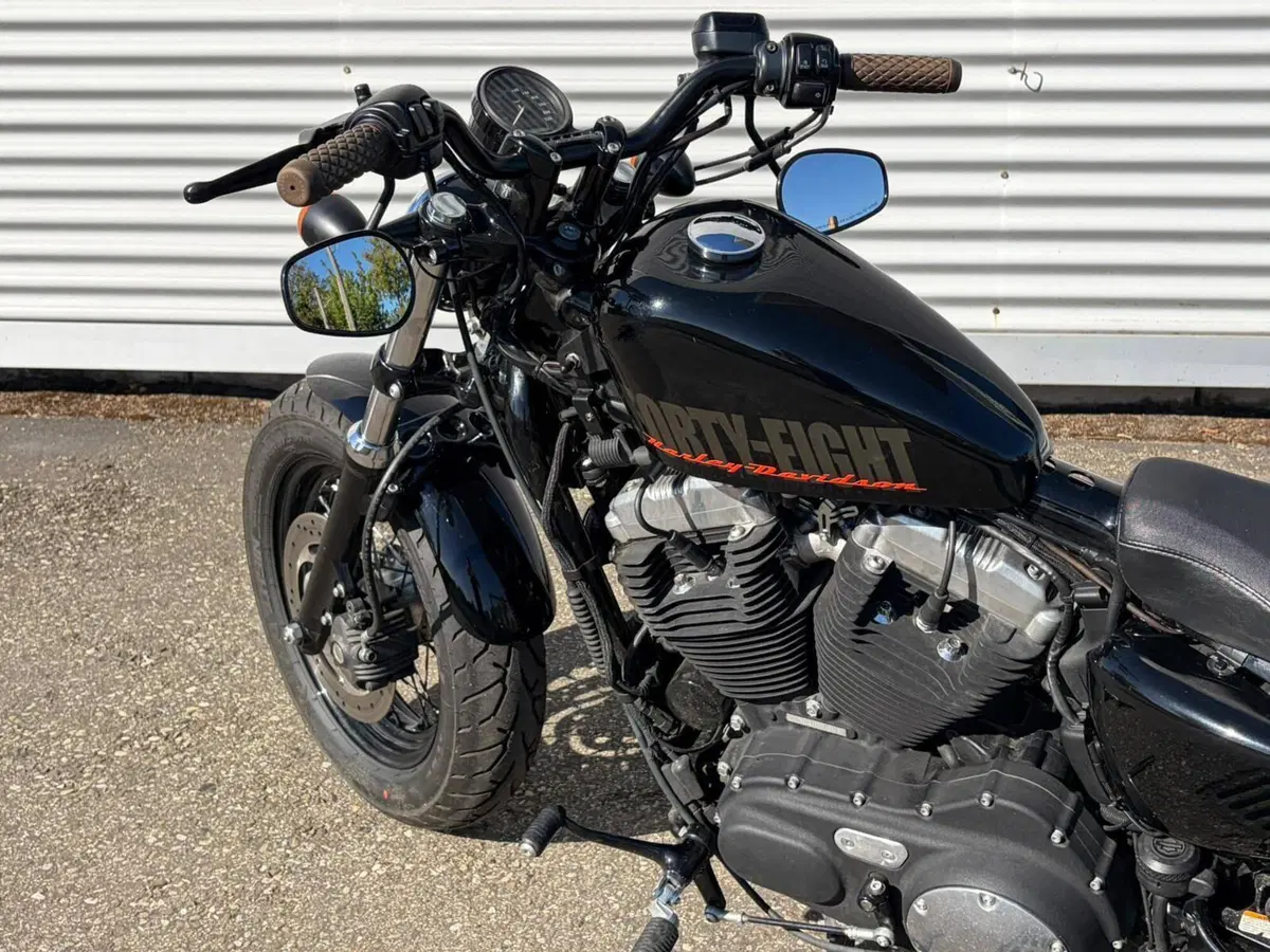 Harley-Davidson 1200 Forty-Eight (2010 - 15) (9)