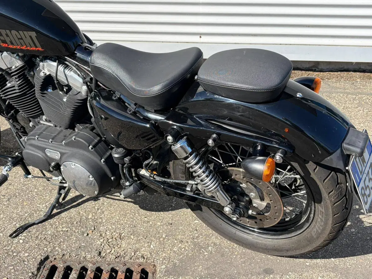 Harley-Davidson 1200 Forty-Eight (2010 - 15) (10)