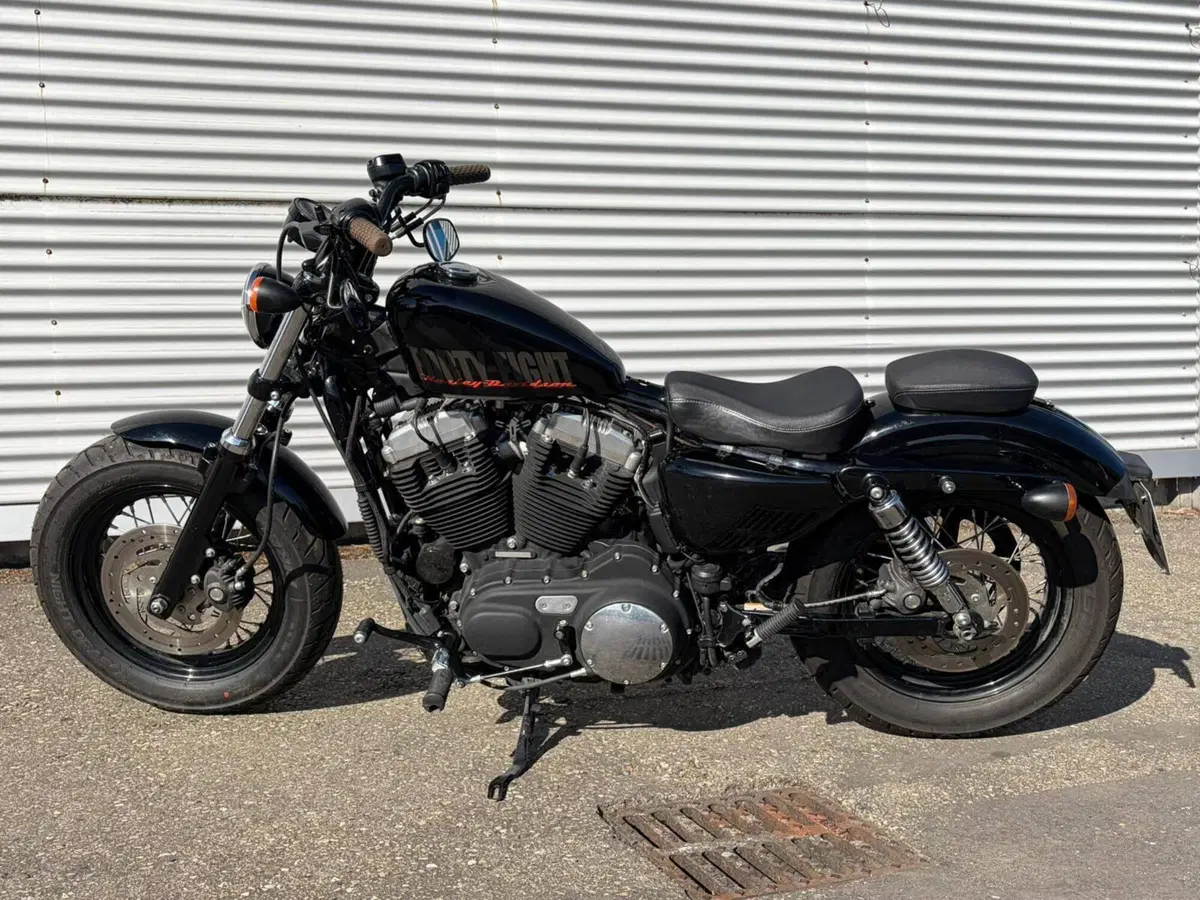 Harley-Davidson 1200 Forty-Eight (2010 - 15) (16)