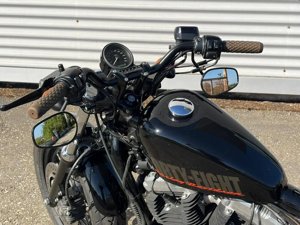 Harley-Davidson 1200 Forty-Eight (2010 - 15) (17)