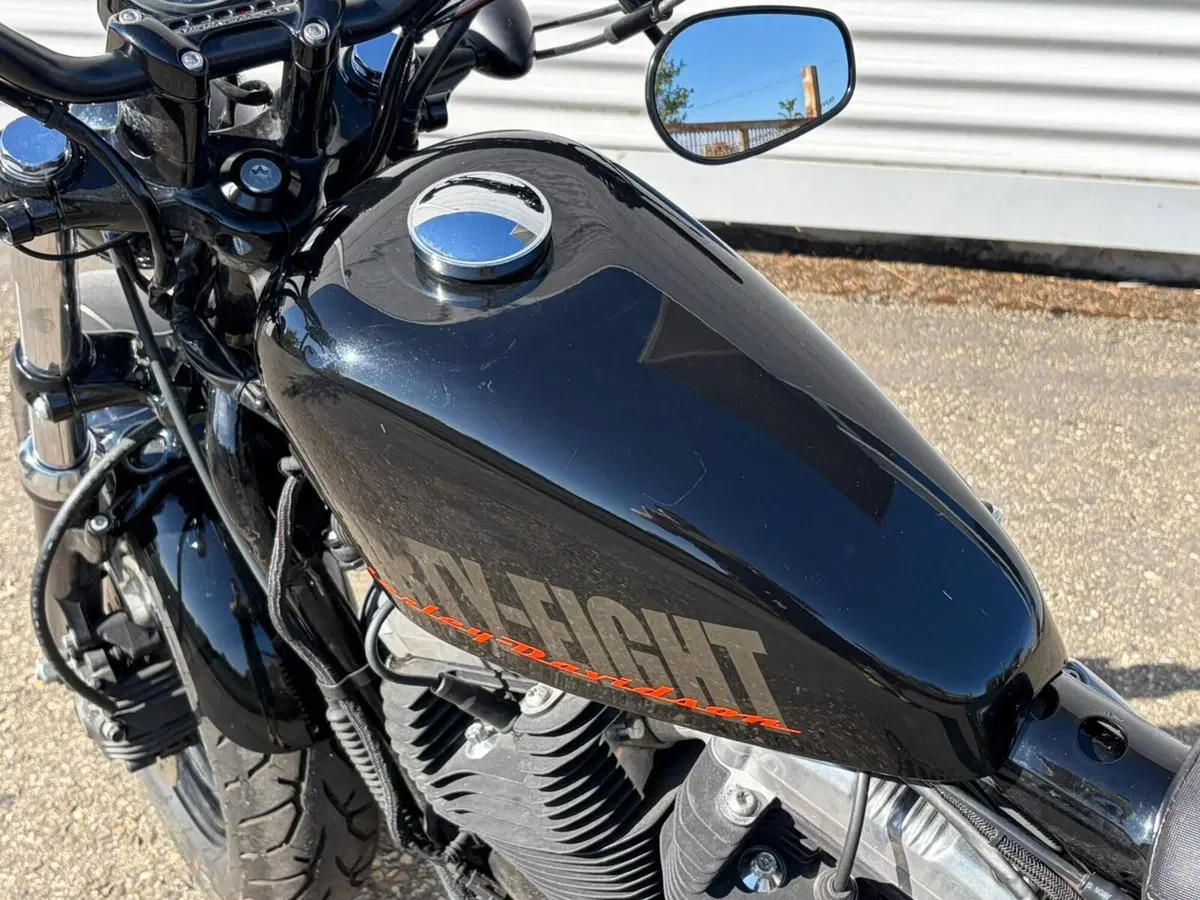 Harley-Davidson 1200 Forty-Eight (2010 - 15) (13)