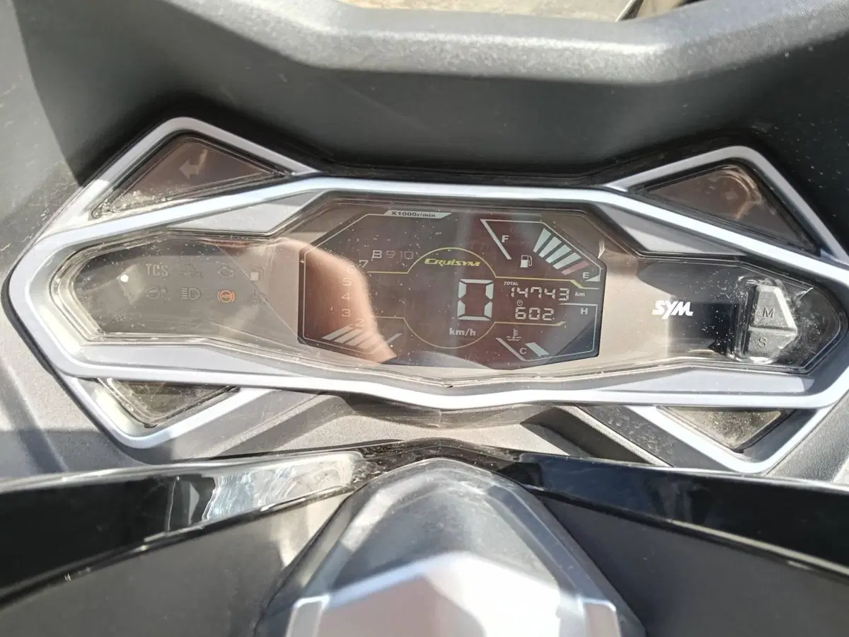Sym Cruisym 300 (2021 - 24) (3)