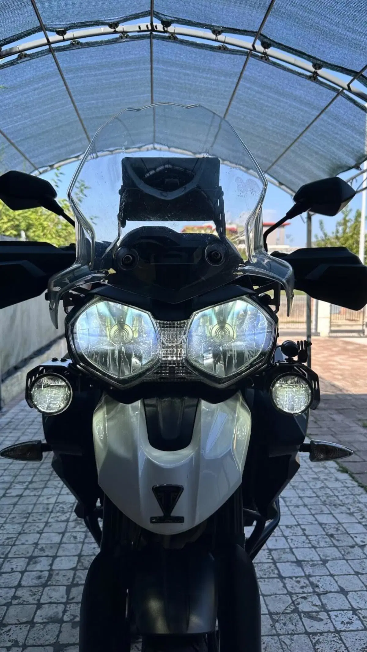 Triumph Tiger 800 XCx (2017 - 18) (3)