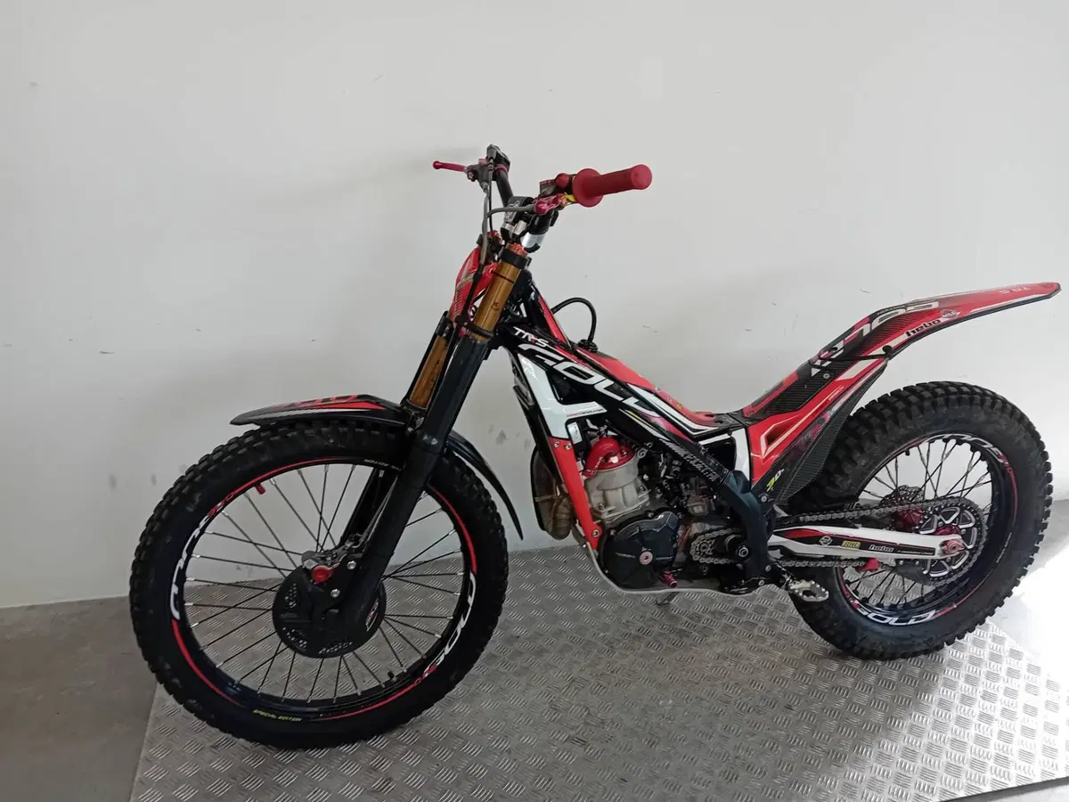 TRS Motorcycles One 300 (2022 - 23) (3)