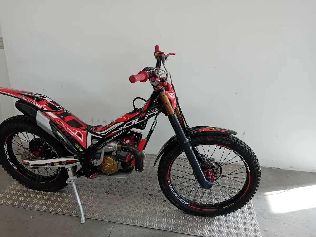 TRS Motorcycles One 300 (2022 - 23) (6)