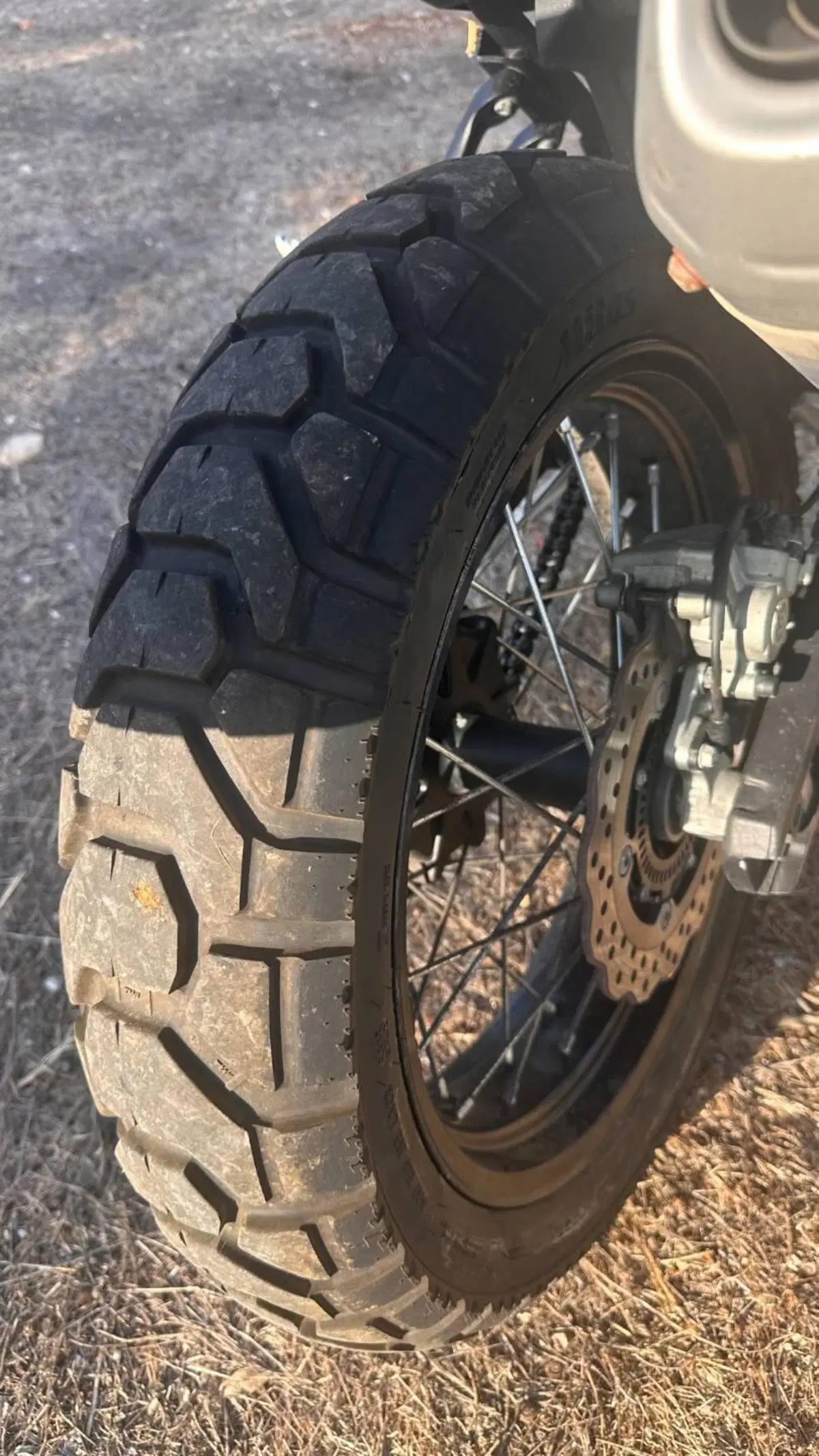 Yamaha Ténéré 700 World Raid (2022 - 25) (6)