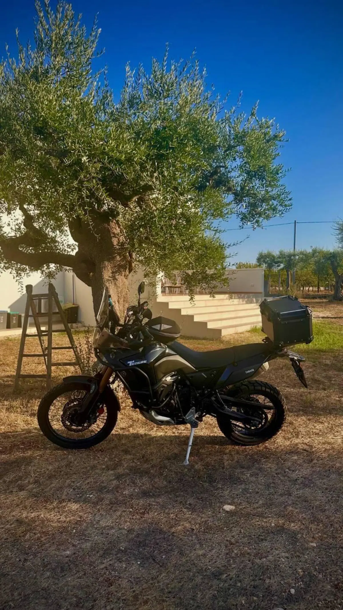 Yamaha Ténéré 700 World Raid (2022 - 25) (5)