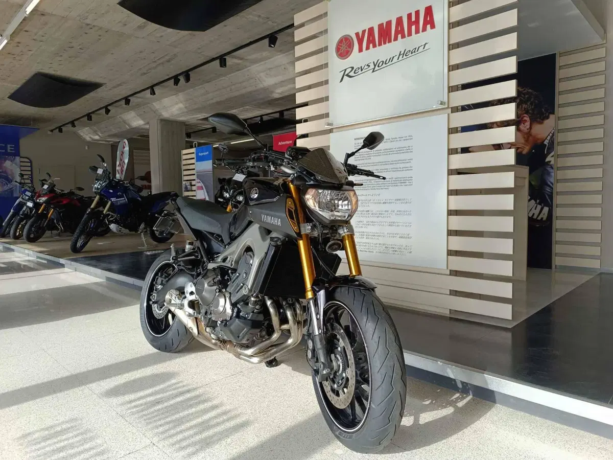 Yamaha MT-09 ABS (2013 - 15) (2)