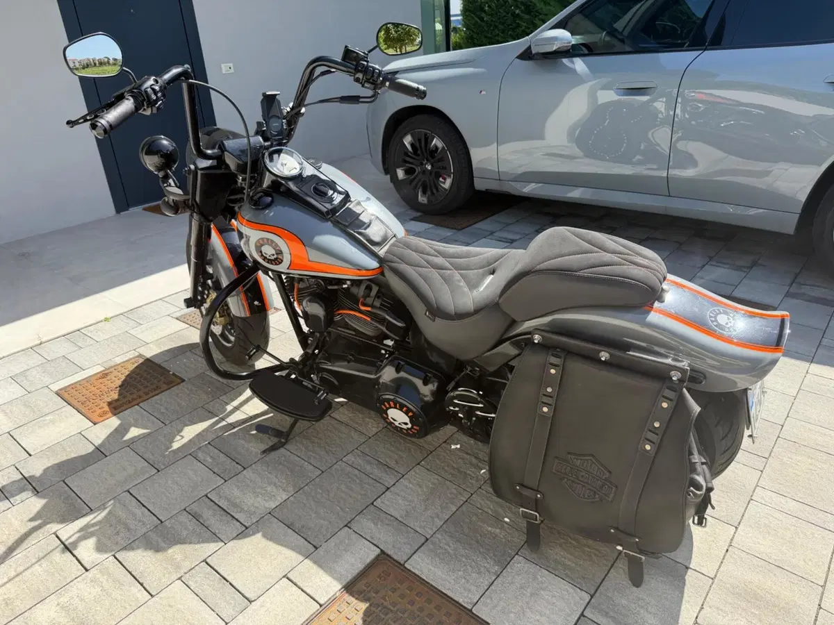 Harley-Davidson 1584 Fat Boy (2006 - 07) - FLSTF (6)