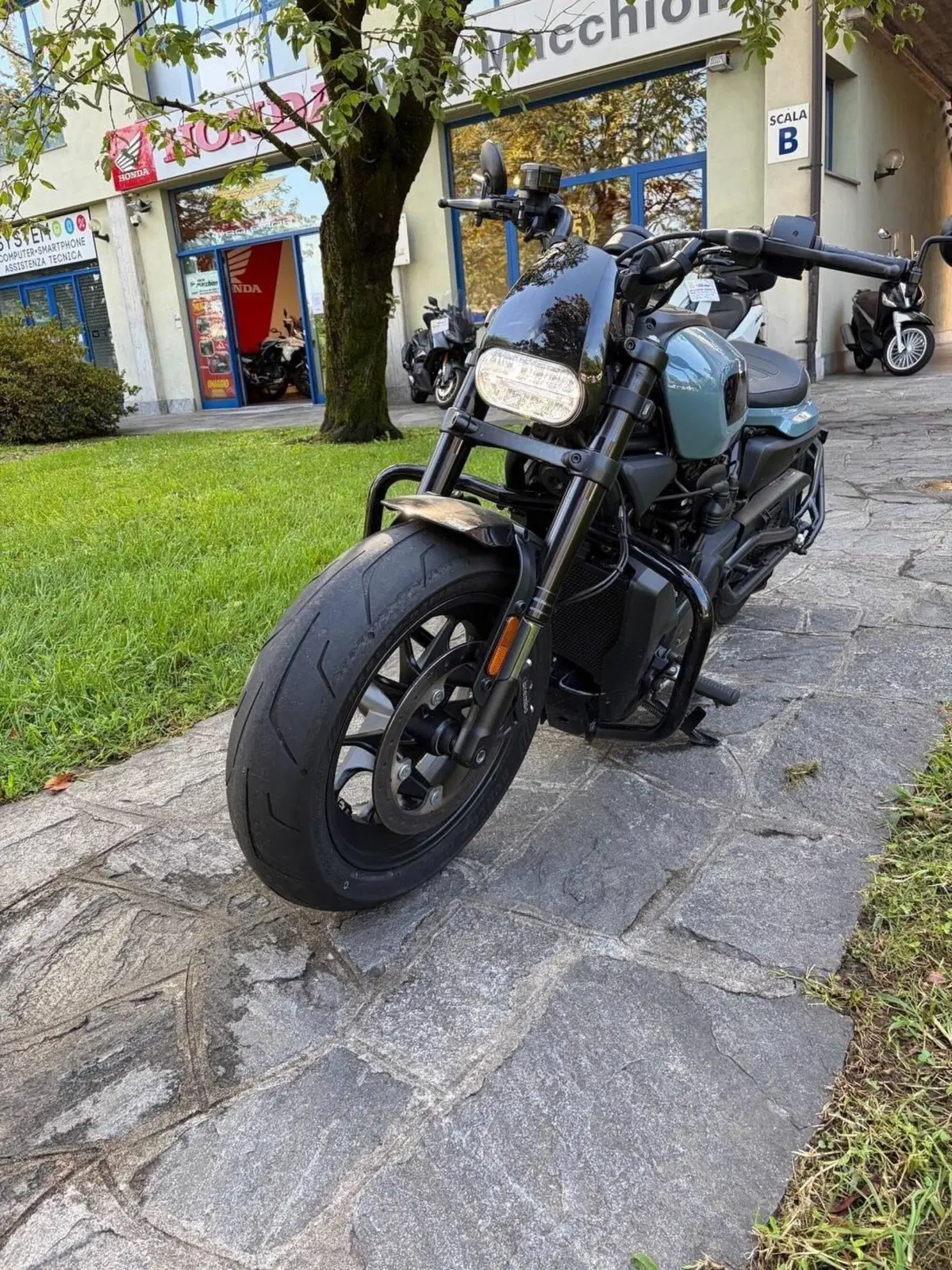 Harley-Davidson Sportster S (2022 - 24) (5)