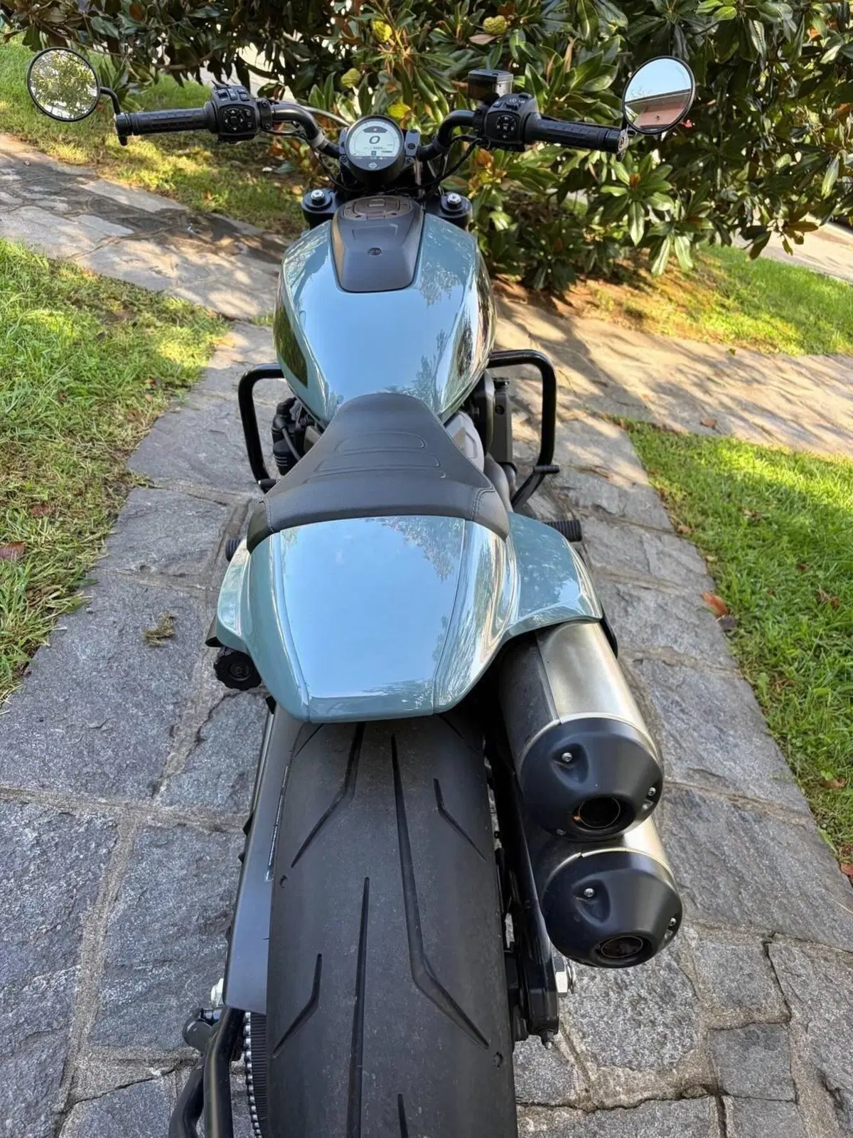 Harley-Davidson Sportster S (2022 - 24) (6)