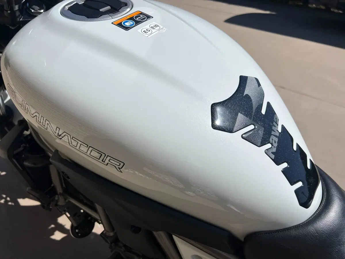 Kawasaki Eliminator 500 (2024 - 26) (3)