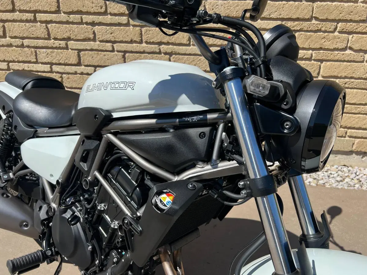 Kawasaki Eliminator 500 (2024 - 26) (4)