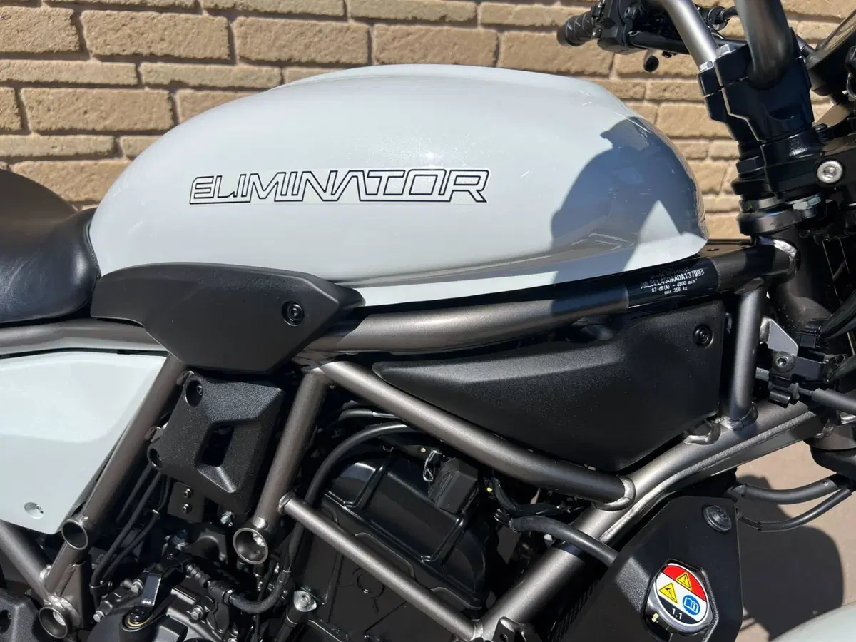 Kawasaki Eliminator 500 (2024 - 26) (5)