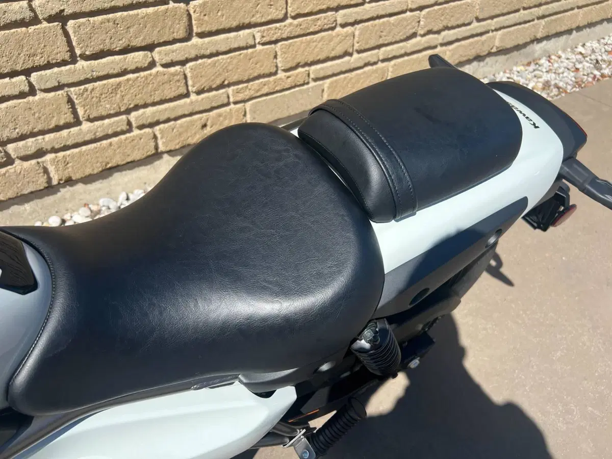 Kawasaki Eliminator 500 (2024 - 26) (7)