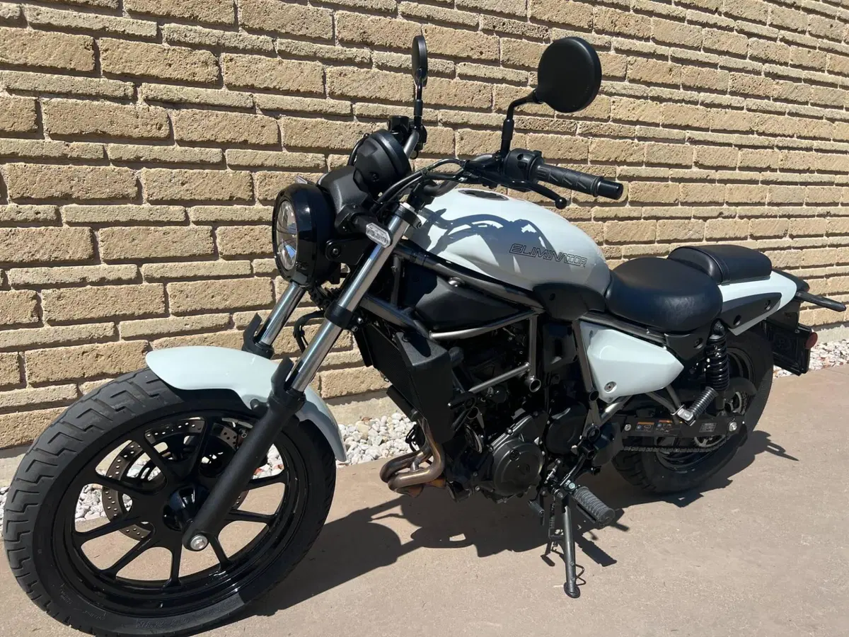 Kawasaki Eliminator 500 (2024 - 26) (8)